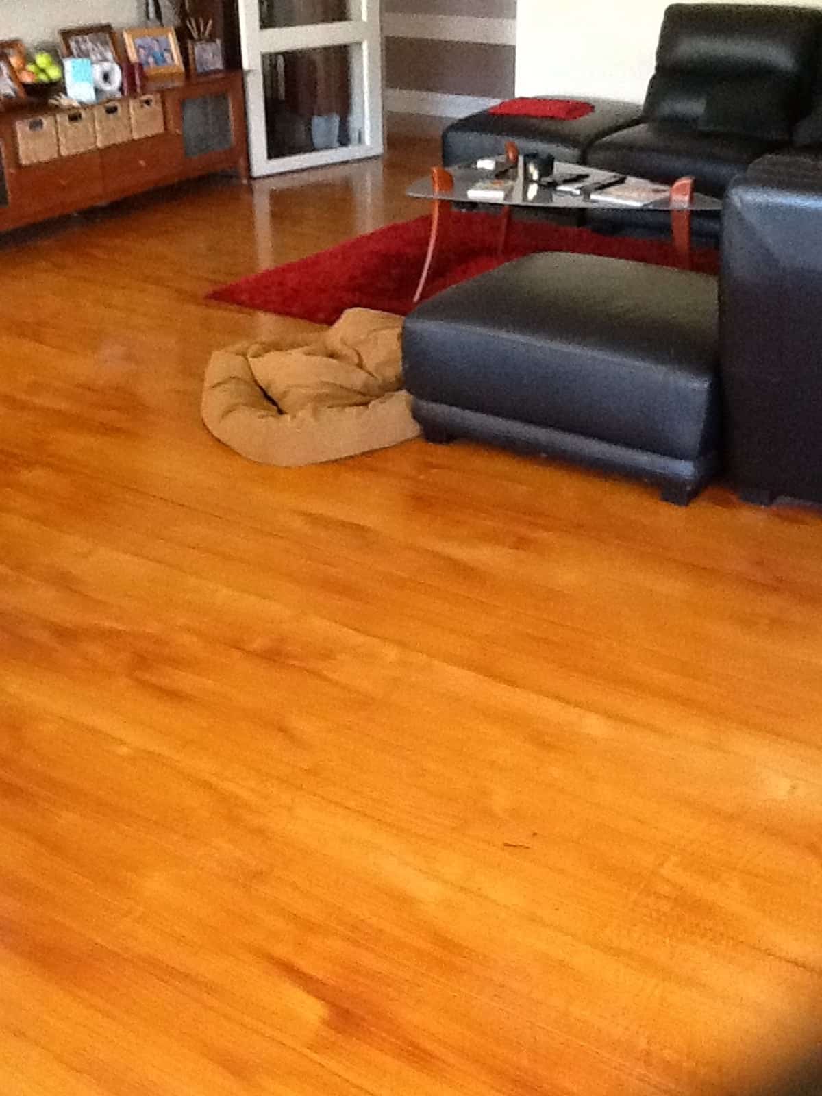 Decorative Floor Coatings